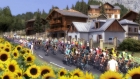Tour de France 2015: Der offizielle Radsport Manager 15