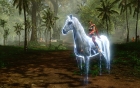 Screenshot-4-ArchAge