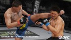 EA Sports UFC 11