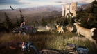 Far Cry 5 6