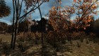 Pineview Drive 2