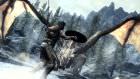 The Elder Scrolls V: Skyrim 41