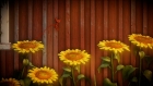 Unravel 7