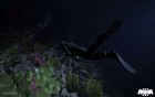 Arma 3 16