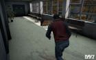 DayZ 6