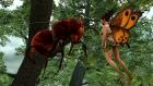 Faery - Legends of Avalon 4