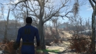 Fallout 4 30