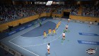 Handball Challenge 14 17