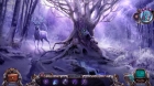 Mystery Case Files: Die Druiden von Dire Grove 13