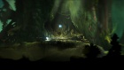 Ori and the Blind Forest 19