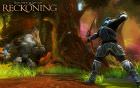 Kingdoms of Amalur - Reckoning 3