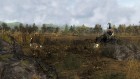 theHunter 2015 6