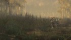 theHunter 2015 7