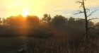 Screenshot-2-theHunter 2015