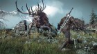 The Witcher 3: Wild Hunt 6