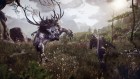 The Witcher 3: Wild Hunt 12