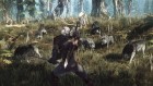 The Witcher 3: Wild Hunt 16