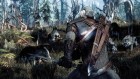 The Witcher 3: Wild Hunt 17