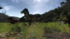 Galerie theHunter: Primal anzeigen