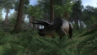 Screenshot-5-theHunter: Primal