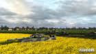 Wargame: European Escalation 9
