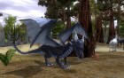 Galerie Wildlife Park 2 - Ultimate Edition anzeigen