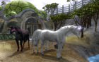 Galerie Wildlife Park 2 - Ultimate Edition anzeigen