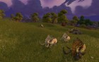 Galerie World of Warcraft: Warlords of Draenor anzeigen